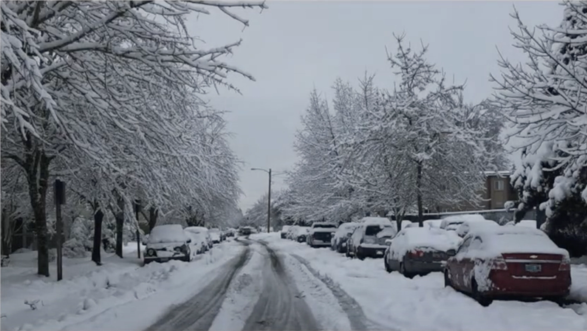 Northwest Winters